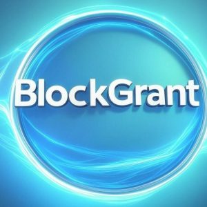 BlockGrant: Specialized Web3 Service for Non-Profit Organizations