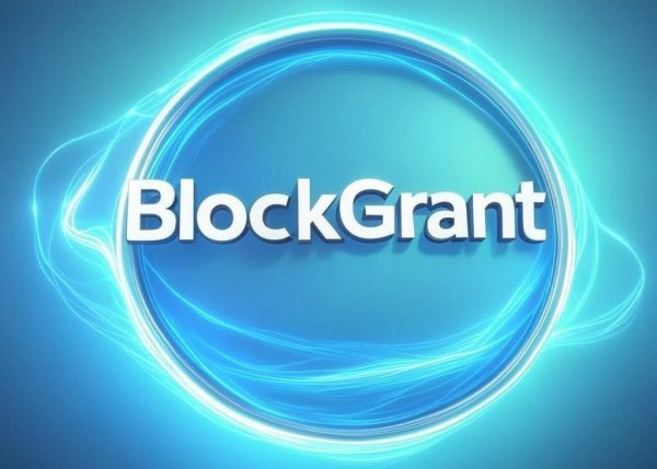 BlockGrant: Specialized Web3 Service for Non-Profit Organizations